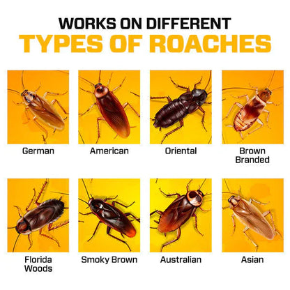 RoachShield Natural Gel – Safe & Powerful Cockroach Killer for Kitchens, Bathrooms & Cabinets ( 24 Pcs )